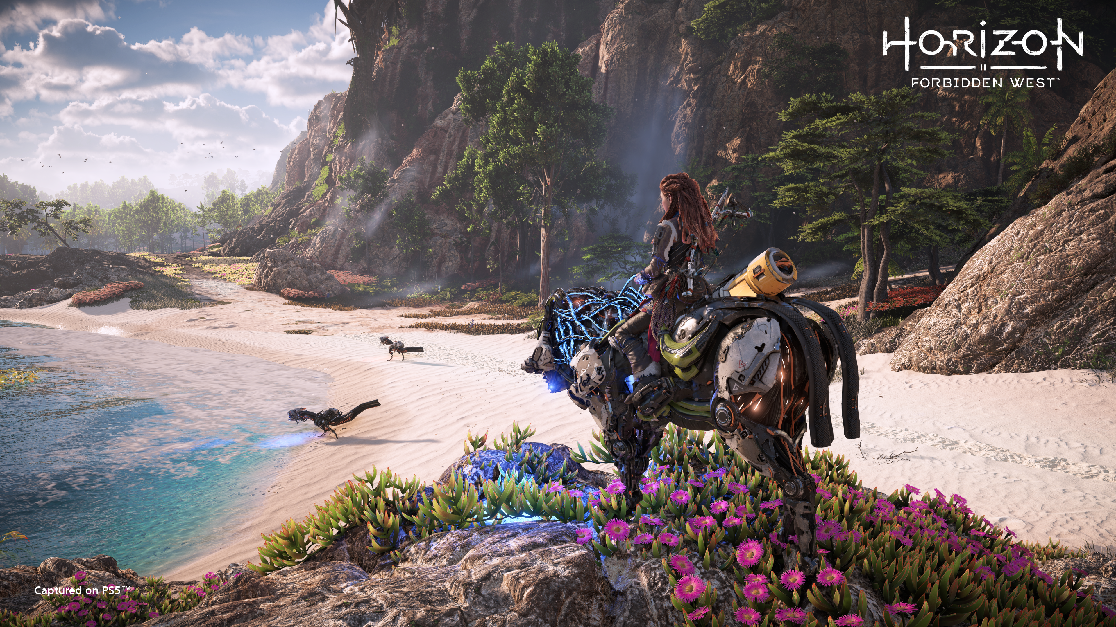 horizon forbidden west