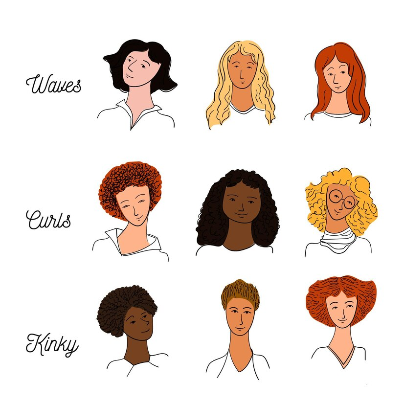 Illustration of hair types
