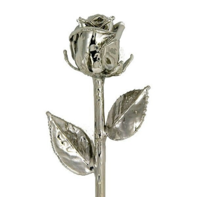 Platinum-Dipped Rose